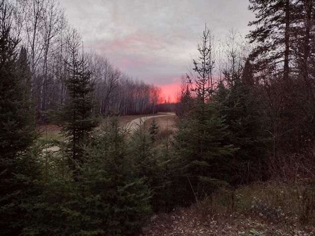 TBD Billy Creek Rd E, Big Falls, MN 56627 - photo 10