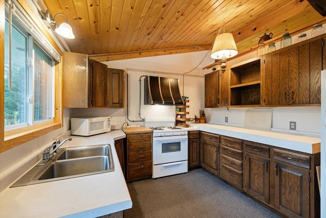 TBD Billy Creek Rd E, Big Falls, MN 56627 - photo 21