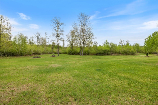 TBD Billy Creek Rd E, Big Falls, MN 56627 - photo 34