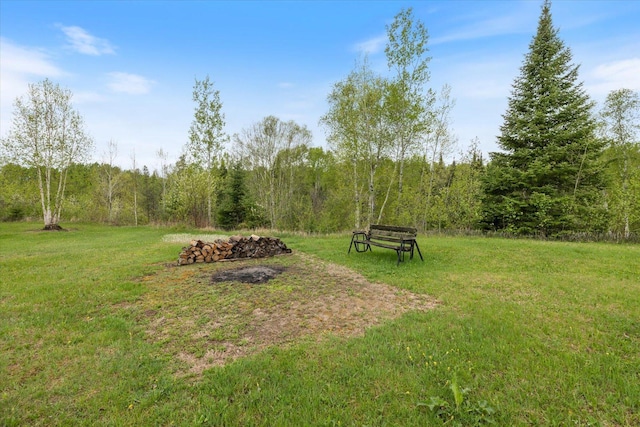 TBD Billy Creek Rd E, Big Falls, MN 56627 - photo 40