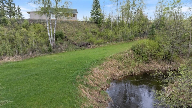 TBD Billy Creek Rd E, Big Falls, MN 56627 - photo 41
