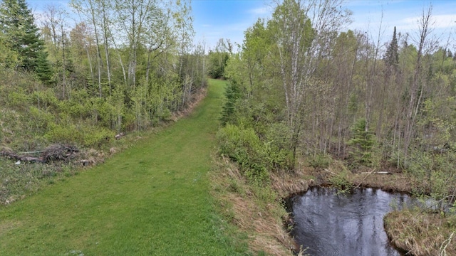 TBD Billy Creek Rd E, Big Falls, MN 56627 - photo 43