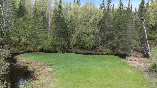 TBD Billy Creek Rd E, Big Falls, MN 56627 - photo 44