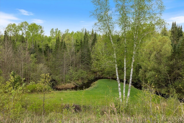 TBD Billy Creek Rd E, Big Falls, MN 56627 - photo 45