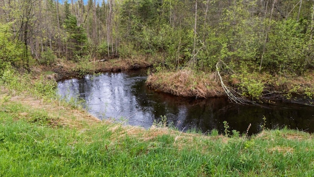 TBD Billy Creek Rd E, Big Falls, MN 56627 - photo 46