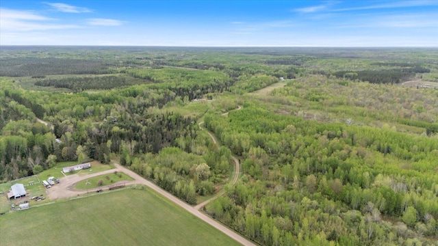 TBD Billy Creek Rd E, Big Falls, MN 56627 - photo 52