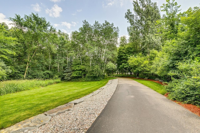 14255 Bataan St NE, Ham Lake, MN 55304