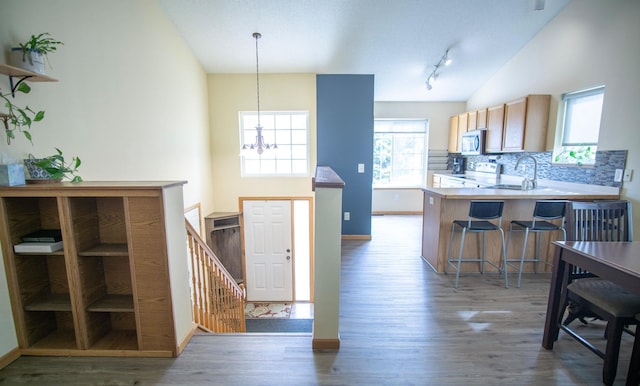 450 Meadow Ln, Somerset, WI 54025 - kitchen featuring stainless steel microwave, track lighting, a sink, a chandelier, and wood finished floors