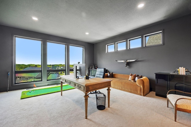 6297 Yuma Ln N, Maple Grove, MN 55311 - carpeted home office with recessed lighting and a textured ceiling