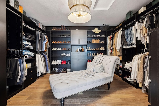 6297 Yuma Ln N, Maple Grove, MN 55311 - walk in closet featuring light wood finished floors