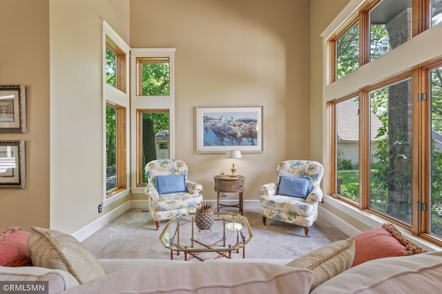 12143 Gantry Ln, Apple Valley, MN 55124 - living room with carpet floors, a high ceiling, baseboards, and healthy amount of natural light