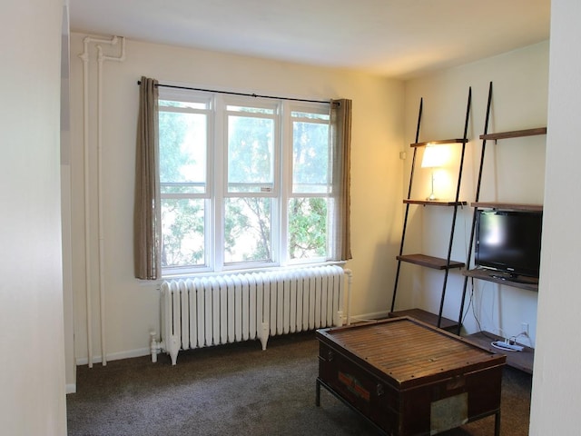 425 Superior St, Saint Paul, MN 55102 - photo 5
