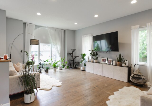 1712 Levee Ave, Anoka, MN 55303 - living room with recessed lighting and wood finished floors