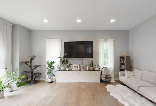 1712 Levee Ave, Anoka, MN 55303 - living area featuring wood finished floors, recessed lighting, and baseboards