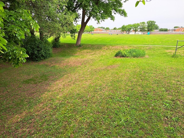487 Roselawn Ave E, Maplewood, MN 55117 - view of yard
