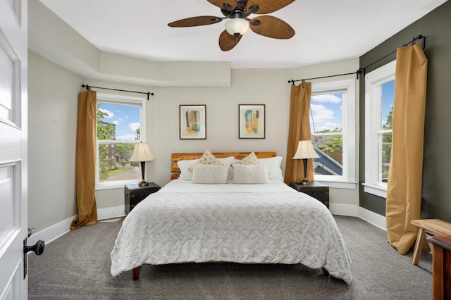 159 Western Ave S, Saint Paul, MN 55102 - bedroom with carpet floors and a ceiling fan