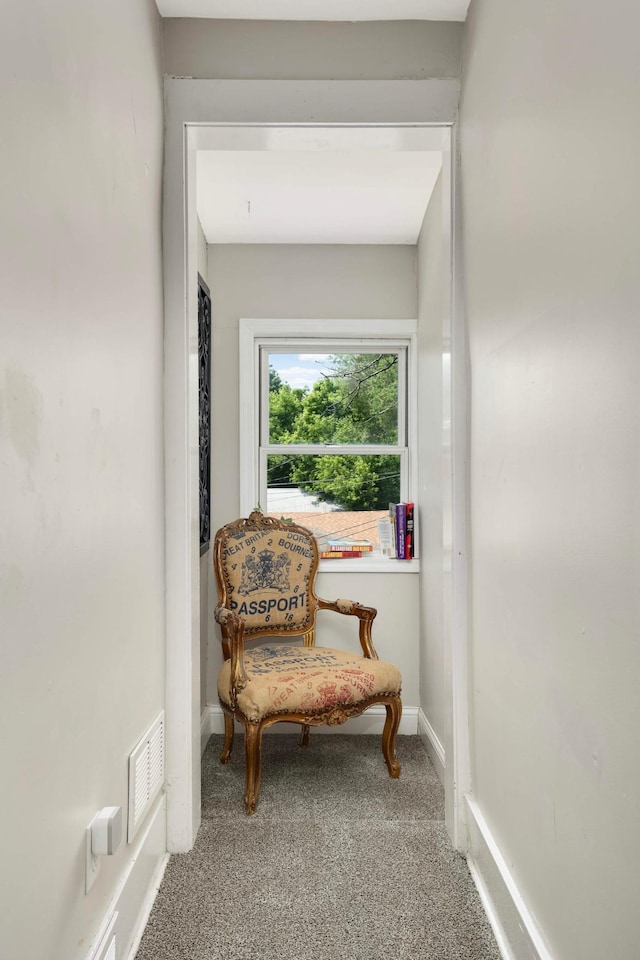 159 Western Ave S, Saint Paul, MN 55102 - living area featuring carpet floors and baseboards