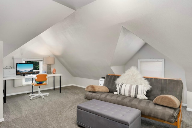 159 Western Ave S, Saint Paul, MN 55102 - office area featuring carpet and vaulted ceiling