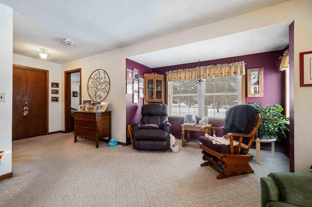 44655 Red Oak Rd, Staples, MN 56479 - sitting room featuring carpet floors, a textured ceiling, and baseboards