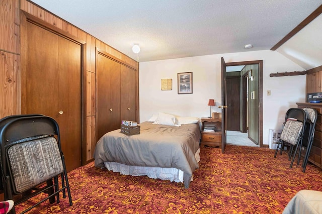 44655 Red Oak Rd, Staples, MN 56479 - bedroom featuring carpet floors, multiple closets, lofted ceiling, and a textured ceiling