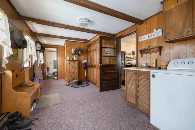 44655 Red Oak Rd, Staples, MN 56479 - interior space featuring washer / dryer, wood walls, carpet, cabinet space, and a textured ceiling
