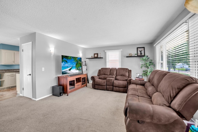 5019 Washington St NE, Columbia Heights, MN 55421 - living room featuring light carpet and a textured ceiling
