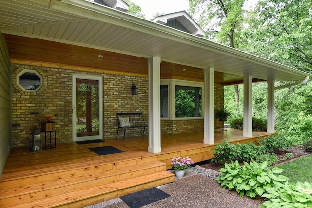 19260 81st Pl N, Maple Grove, MN 55311 - view of porch