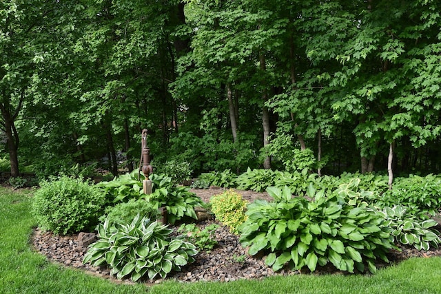 19260 81st Pl N, Maple Grove, MN 55311 - view of local wilderness