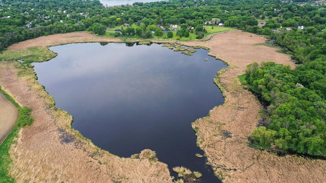 19260 81st Pl N, Maple Grove, MN 55311 - aerial view of property and surrounding area with a large body of water