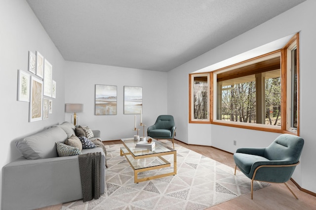 19260 81st Pl N, Maple Grove, MN 55311 - living room featuring baseboards