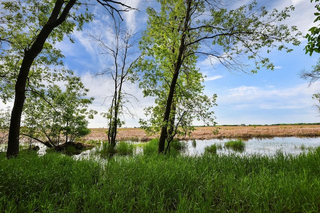 19260 81st Pl N, Maple Grove, MN 55311 - water view
