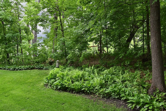 19260 81st Pl N, Maple Grove, MN 55311 - view of grassy yard
