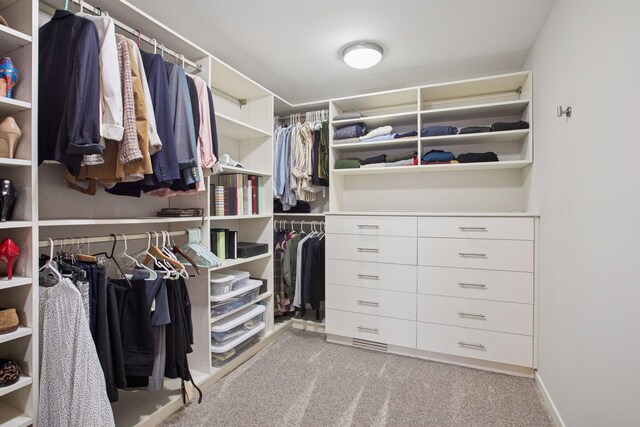 3715 Huntingdon Dr, Minnetonka, MN 55305 - spacious closet with carpet
