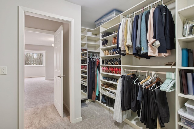3715 Huntingdon Dr, Minnetonka, MN 55305 - walk in closet with carpet