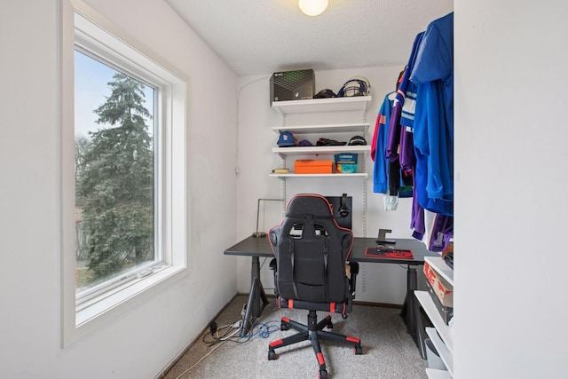 3715 Huntingdon Dr, Minnetonka, MN 55305 - office with carpet floors and baseboards