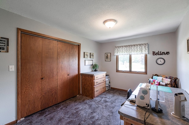 32 7th St, Buffalo City, WI 54622 - carpeted office featuring a textured ceiling and baseboards