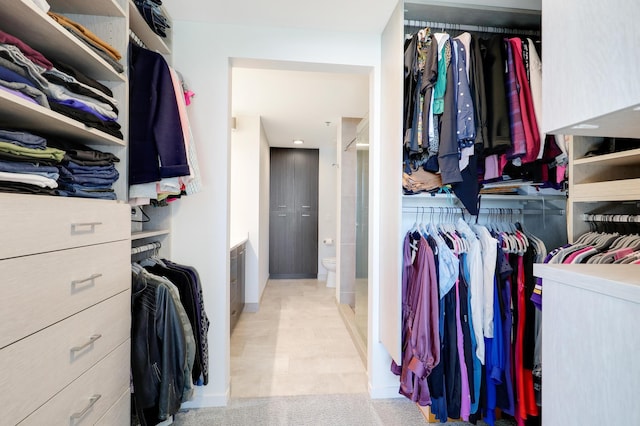 740 Portland Ave Unit 907, Minneapolis, MN 55415 - view of spacious closet