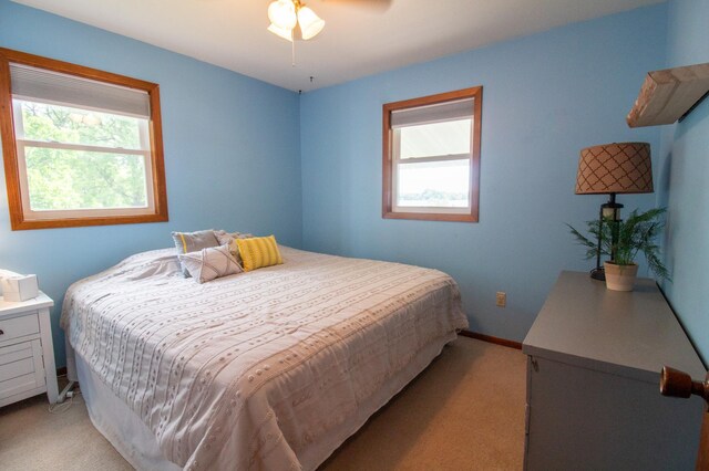 27668 Crappie Trl, Sverdrup Twp, MN 56586 - bedroom featuring light carpet, multiple windows, and baseboards