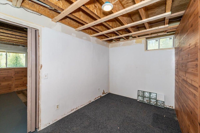 2331 Wilderness Rd, Lakeside Twp, WI 54864 - basement featuring plenty of natural light, wooden walls, and carpet floors