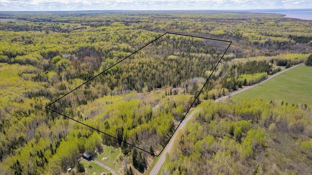 2331 Wilderness Rd, Lakeside Twp, WI 54864 - aerial view of property and surrounding area with a heavily wooded area and property boundaries highlighted