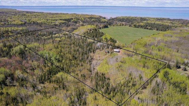 2331 Wilderness Rd, Lakeside Twp, WI 54864 - aerial view of property and surrounding area featuring a heavily wooded area and property boundaries highlighted