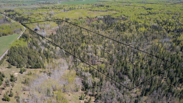 2331 Wilderness Rd, Lakeside Twp, WI 54864 - aerial view of property's location with property boundaries highlighted and a forest