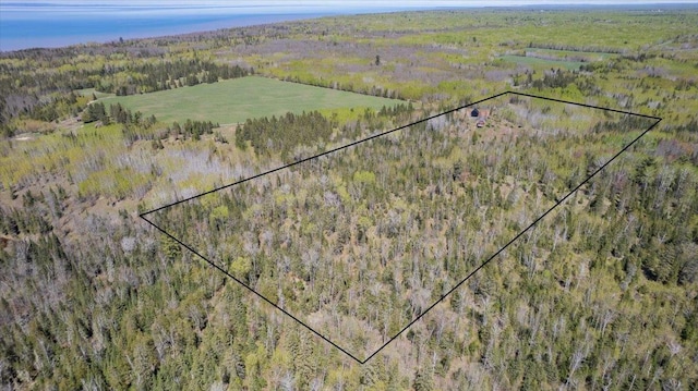 2331 Wilderness Rd, Lakeside Twp, WI 54864 - aerial overview of property's location featuring property boundaries highlighted and a forest