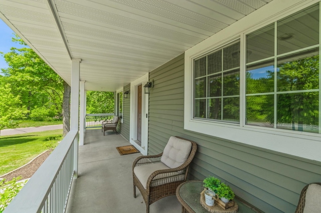 13284 288th Ave NW, Zimmerman, MN 55398 - view of covered porch