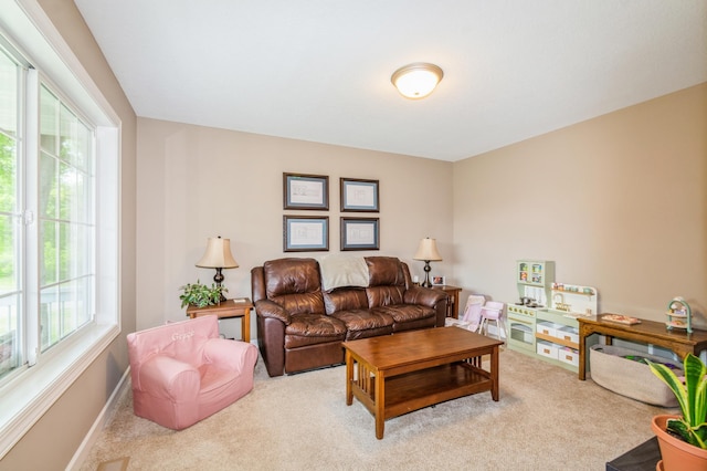 13284 288th Ave NW, Zimmerman, MN 55398 - view of carpeted living area