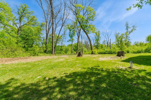 13284 288th Ave NW, Zimmerman, MN 55398 - view of grassy yard