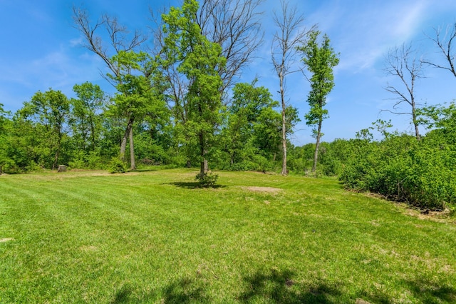 13284 288th Ave NW, Zimmerman, MN 55398 - view of grassy yard