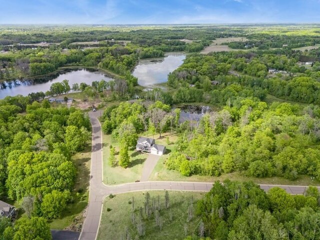 13284 288th Ave NW, Zimmerman, MN 55398 - bird's eye view of a nearby body of water and a forest