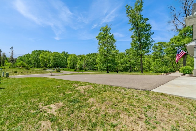 13284 288th Ave NW, Zimmerman, MN 55398 - view of green lawn featuring driveway