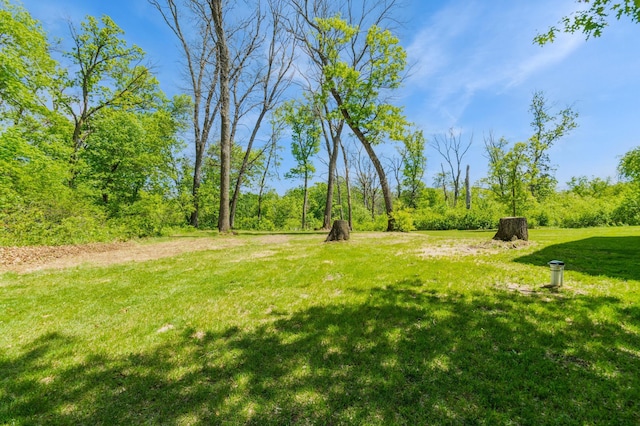 13284 288th Ave NW, Zimmerman, MN 55398 - photo 34